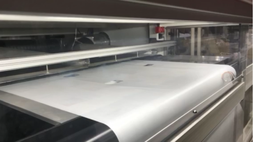 Die-cut window rollstock technology